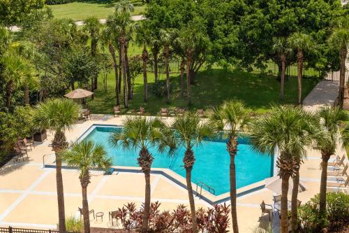 奥兰多Holiday Inn Orlando International Airport, an IHG Hotel的享有棕榈树游泳池的顶部景致