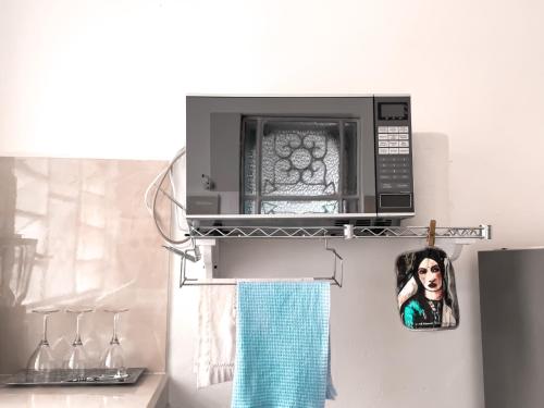巴卡拉尔Casa Momo Bacalar的挂在微波炉上的女人的照片