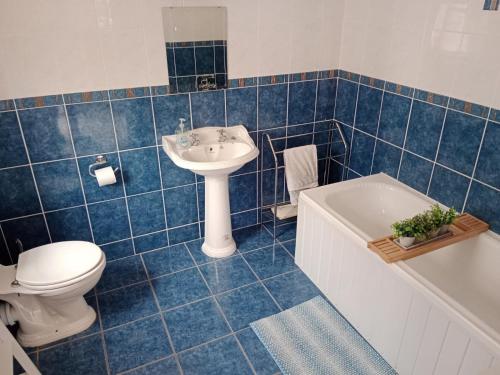米尔福德Willowfarmhouse的蓝色瓷砖浴室设有卫生间和水槽