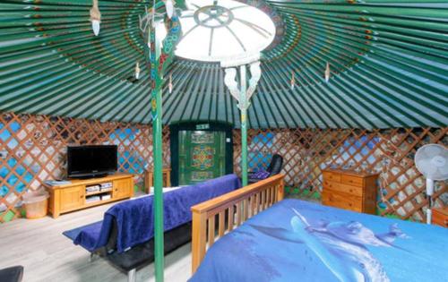 TurriffColourful Mongolian Yurt enjoy a new experience的一个带帐篷的房间,配有一张床和一台电视