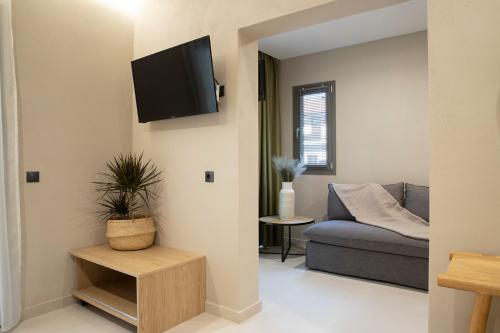 帕拉利亚潘塔利莫诺斯Olympus Suites的客厅配有沙发和墙上的电视