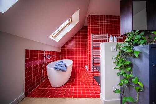 根特Casa Mina - Dok Noord Ghent的红色瓷砖浴室设有卫生间和植物