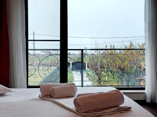 GhioneaAlpha Pool House的一间卧室设有大窗户,床上配有毛巾