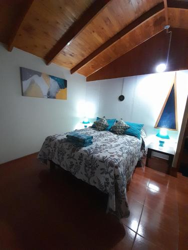 PutaendoEncanto Rural - Casa de campo para disfrutar y olvidar el estrés的一间带一张床的卧室,位于带木制天花板的房间内