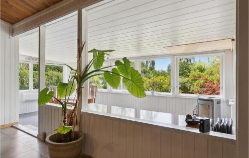 Bogø ByAmazing Home In Bog By With Kitchen的窗户厨房里种植植物的房子