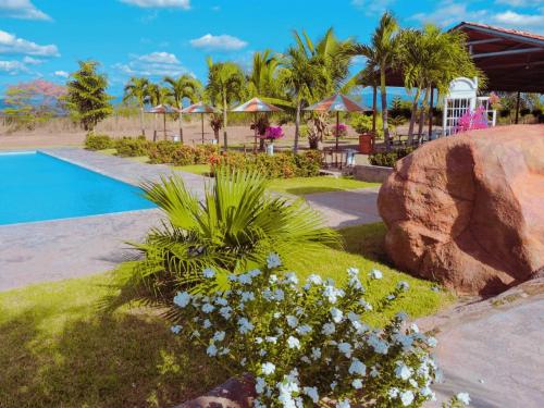 Dexamano Hotel & Resort内部或周边的泳池