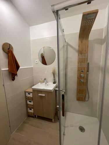 Le BoscStudio indépendant près Salagou的带淋浴和盥洗盆的浴室