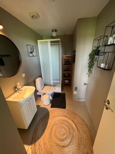 霍尔斯沃德吕尔Apartment - Fíflholt的一间带水槽和卫生间的浴室