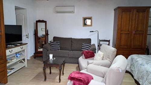 克鲁兹·德·特赫达桑塔纳塞古拉之家旅馆的带沙发和电视的客厅