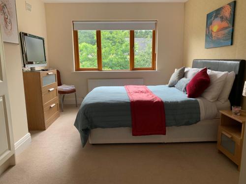 Rivers TownLough Rynn-Lord Leitrim的一间卧室设有一张床、一台电视和一个窗口。
