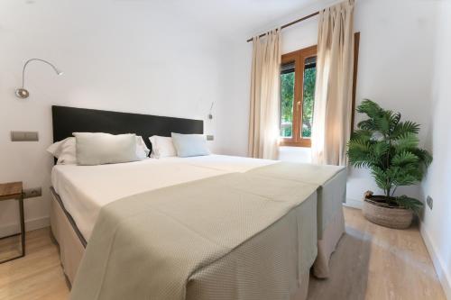 帕尔马海滩豪姆耐特别墅的白色卧室配有大床和植物