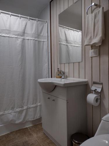 瓦尔迪维亚Casa Río Vivo的白色的浴室设有水槽和镜子