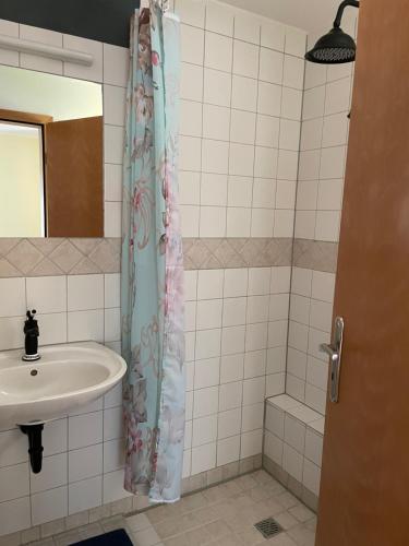 LooseLindenhof ChezArtistes的一间带水槽和淋浴帘的浴室