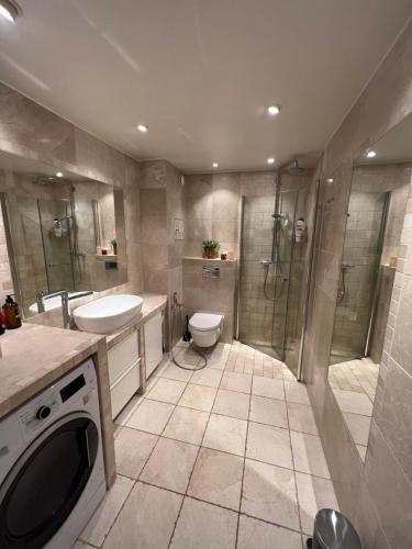 奥斯陆Ryenstubben的浴室配有卫生间水槽和淋浴。