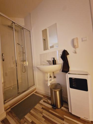 埃因霍温ROOM303的一间带水槽和淋浴的浴室
