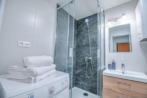 尼特拉Nitra Castle Suite - Modern Elegance & Serenity的带淋浴和盥洗盆的白色浴室