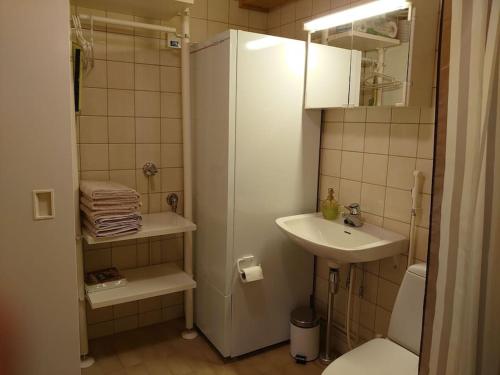 塔库沃里Rivitalon huoneisto Tahkolla的一间带水槽和卫生间的小浴室
