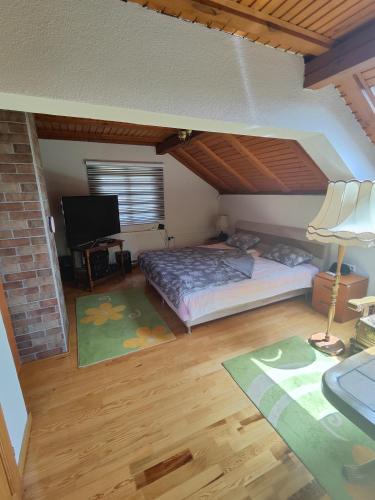 图兹拉Vikendica Majevicka Oaza的一间卧室配有一张床和一台电视。
