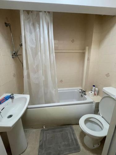 布莱顿霍夫Flat in Brighton city centre的浴室配有盥洗盆、卫生间和浴缸。