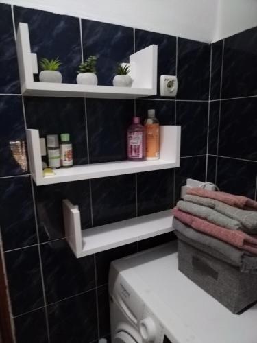 ZemunJasna的浴室配有洗衣机上方的白色架子