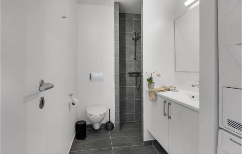 斯劳厄尔瑟Havnehusene, Lejl, 49的白色的浴室设有卫生间和水槽。