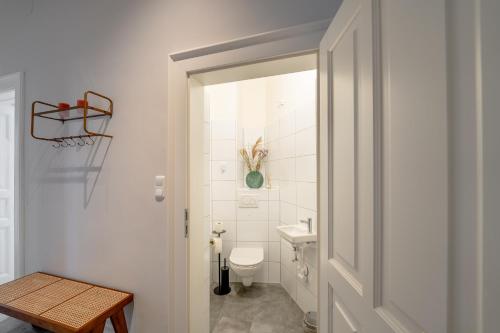 格拉茨Premium apartment - walking distance to city center的一间带卫生间和水槽的浴室
