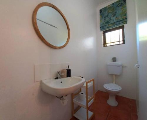 格拉罕镇Cozy Garden Cottage!的一间带水槽、卫生间和镜子的浴室