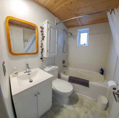 魁北克市Les 300s 3e Avenue的浴室配有盥洗盆、卫生间和浴缸。