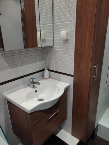 奥尔什丁Apartament Familijny的一间带水槽和镜子的浴室