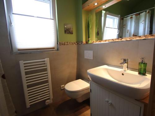 ZarrentinHoliday home Tversted, Zarrentin的一间带水槽、卫生间和镜子的浴室