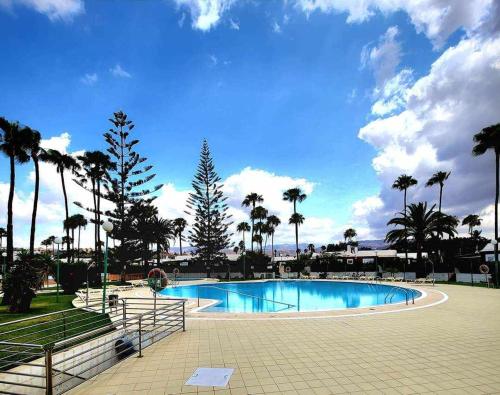 马斯帕洛马斯Chalet con 3 camere e giardino的公园内种有棕榈树的大型游泳池