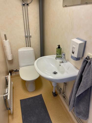 格兰纳Gårdshus - best location in the center of Gränna的浴室配有白色水槽和卫生间。