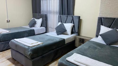 瓦迪穆萨Petra Rose Apartment的客房设有两张带蓝色靠垫的床。