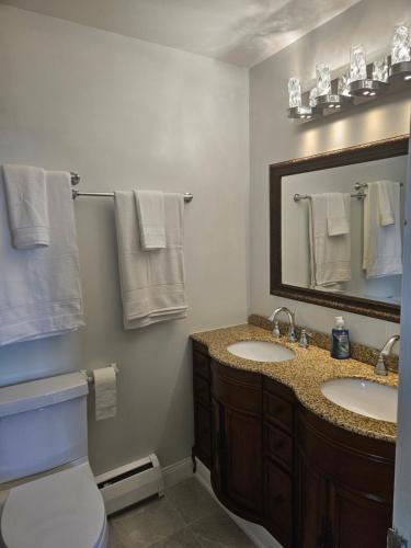 萨默赛德Sunflower Guest Suites的浴室设有2个水槽、镜子和卫生间。