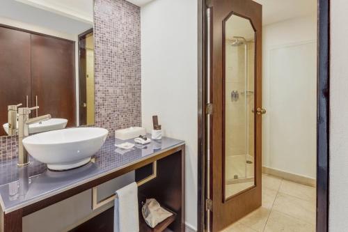 墨西哥城费斯塔客栈酒店的一间带水槽和淋浴的浴室