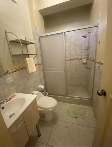 普卡尔帕Recover的带淋浴、卫生间和盥洗盆的浴室