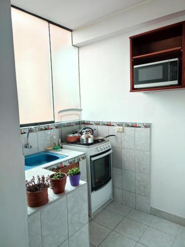 库斯科Casa QENTE的小厨房配有炉灶和水槽
