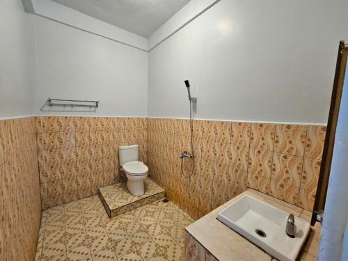 AmbaritaThyesza Hotel的一间带卫生间和水槽的浴室