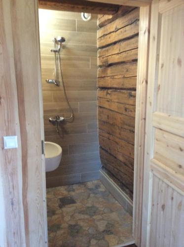 Kossa Tarõ的客房内设有带水槽和卫生间的浴室