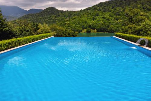 克瓦雷利克瓦雷利湖酒店的一个大型蓝色游泳池,后面是群山