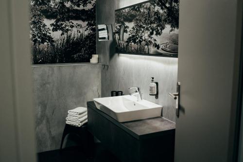 瓦伦保罗斯霍赫酒店的一间带水槽和卫生间的浴室