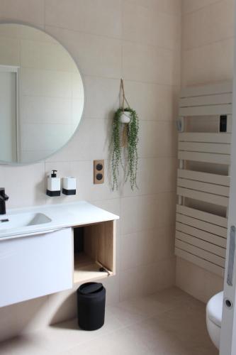 旺德尔港Villa plain pied vue terrasse的一间带水槽和镜子的浴室