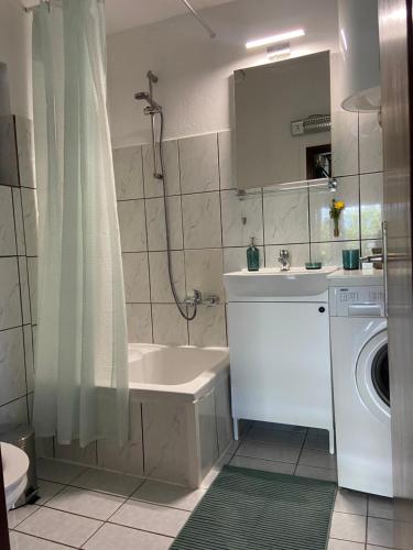特罗吉尔Family House Ljubica的一间带水槽和洗衣机的浴室