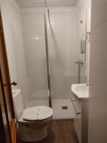 奥尔诺斯El Cruce Hornos的带淋浴、卫生间和盥洗盆的浴室