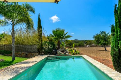 圣卡洛斯Villa Can Curreu的棕榈树庭院内的游泳池