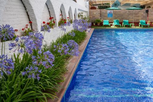 卡里拉阿萨瓦拉公寓式酒店的一座带紫色花卉和蓝色椅子的游泳池