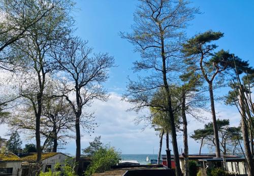 Klein StrömkendorfOstsee-Gutshaus Am Salzhaff Pepelow nähe Rerik- am Meer residieren!的一组背景海洋的树木