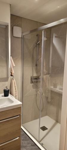 萨尔拉拉卡内达La cachette sarladaise的浴室里设有玻璃门淋浴