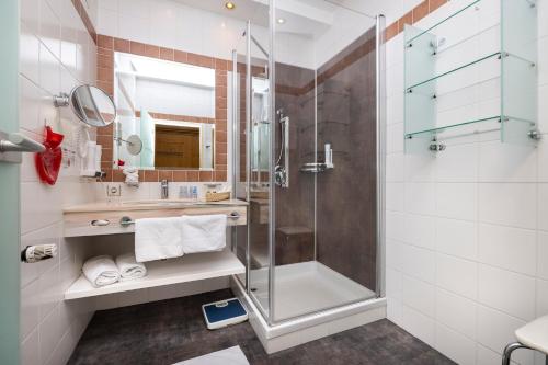 弗拉绍斯罗斯拉克内豪弗酒店的带淋浴和盥洗盆的浴室