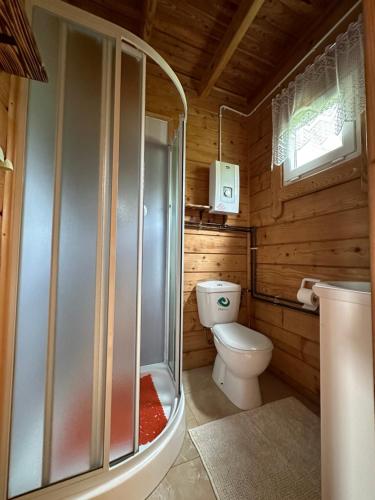 索利纳Domki letniskowe Stary dąb的一间带卫生间和淋浴的小浴室